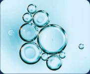 Enzymes & Biocatalysts